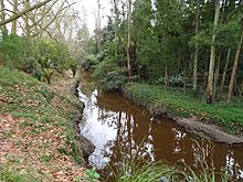 Waitawhiriwhiri Stream in Edgecumbe Park Waitawhiriwhiri Stream.jpg