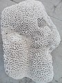 White Coral with deep National Art Work! Amazing.jpg