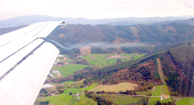 File:Wingtip condensation.jpg