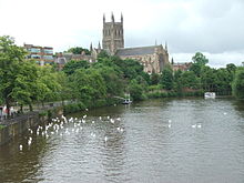 Worcester Cathedral seen from bridge.JPG