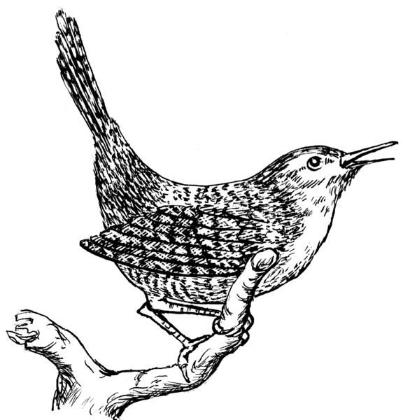 File:Wren (PSF).png