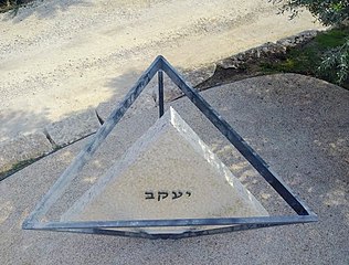 תמונה מרחפן