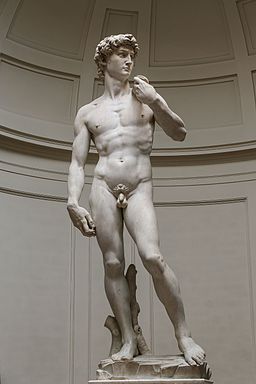 'David' by Michelangelo Fir JBU004