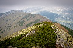 Горган. Горганы заповедник. Навагирский хребет. Хребет Тукурингра. Город Горган и его окрестности.