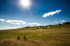 Нижняя дуванка. Дуванка Луганская область. Нижняя Дуванка Украина. Нижняя Дуванка Луганская область. Нижняя Дуванка Сватовский район.