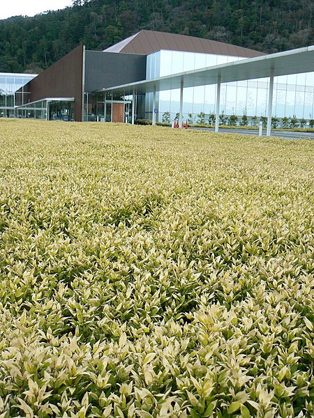 File:島根県立古代出雲歴史博物館 Izumo Shimane - panoramio.jpg