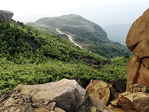 Mountain forest landscape in Maoming Mao Ming Dian Bai E Huang Zhang Yue Ye Chuan Yue 20140613-14 - panoramio (18).jpg