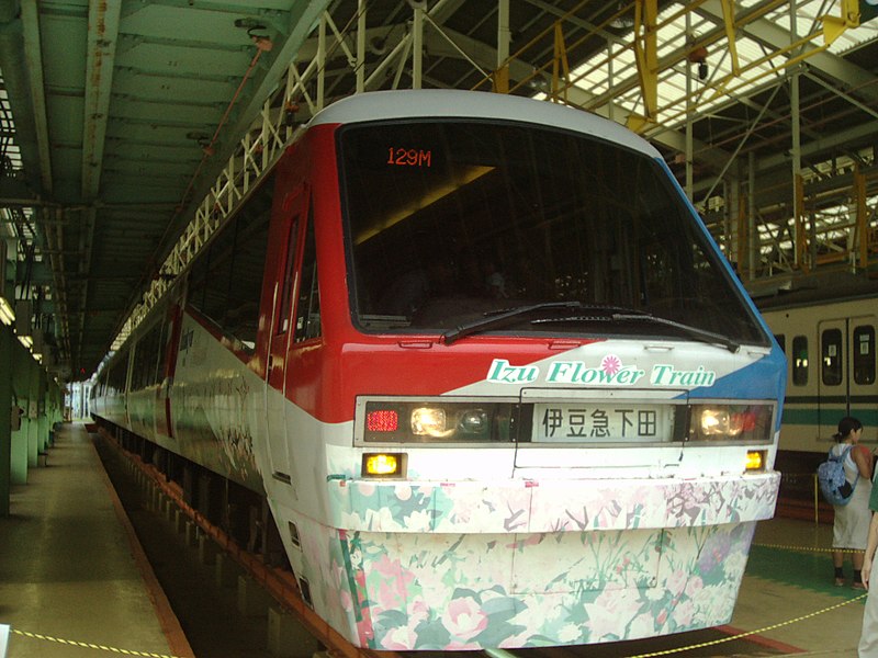 File:-Izukyu-2100-Izu-flower-Train.JPG