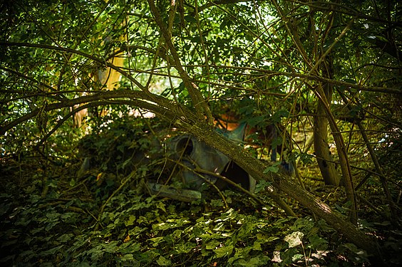 Prise de vue réalisé en bord de Cèze Gard France 2019