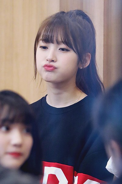 File:170406 컬투쇼 오마이걸 아린 (11).jpg