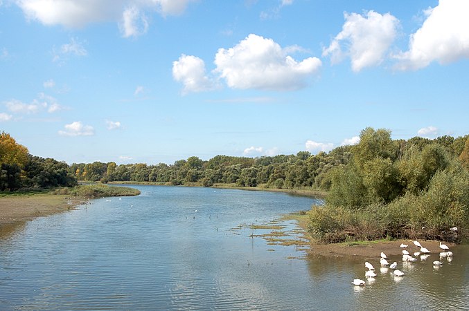 24 mai : Reflets dans la RNN du delta de la Sauer, par Colsu.