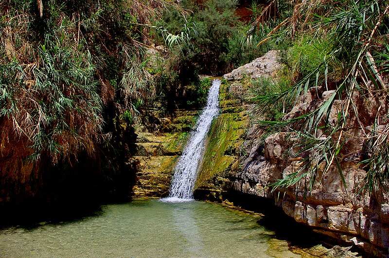 File:2010-06-18 09-24-46 Israel Ejn Gedi JH (52782662492).jpg