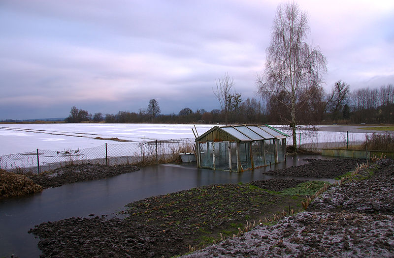 File:2011-01-21-winterlandschaft-hdr-by-RalfR-08.jpg