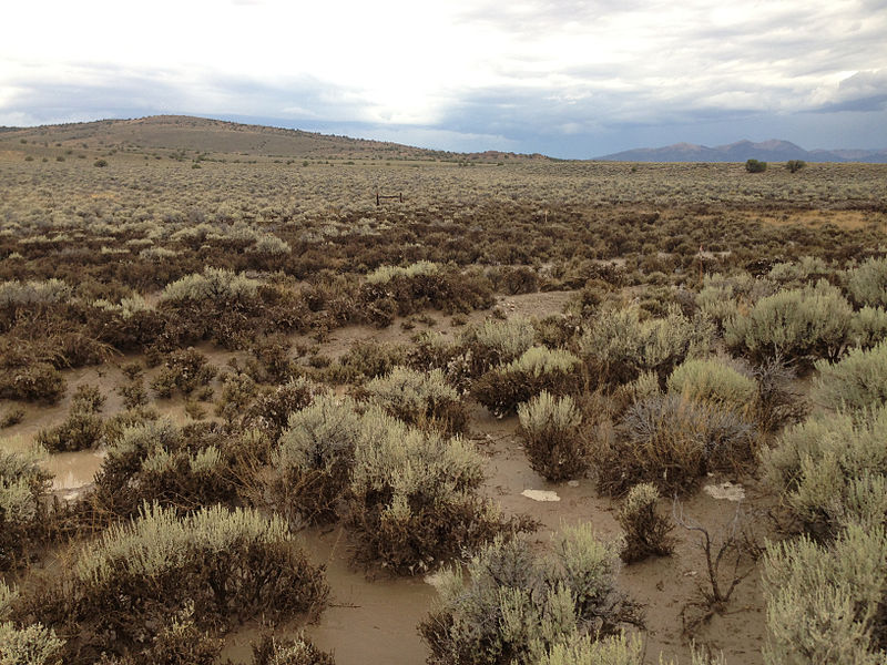 File:2014-07-31 15 42 23 Mud and other remnant debris from flash flooding along U.S. Route 93 in southern Elko County, Nevada.JPG