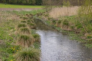 Schambach near Schambach