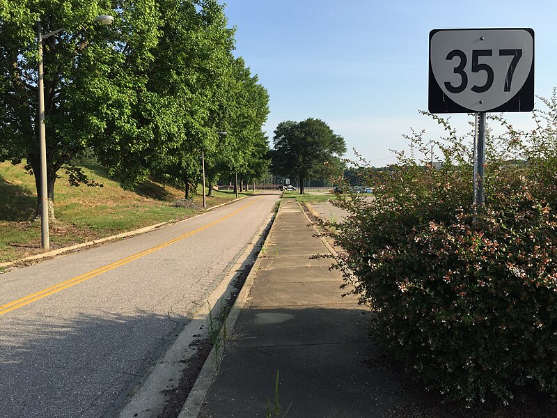 File:2017-07-13 07 53 21 View north along Virginia State Route 357 (N Road) at E Road at the Southside Virginia Training Center just west of Petersburg in Dinwiddie County, Virginia.jpg