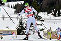 * Nomination Seefeld-Triple 2018, third day January 28th. Picture shows MALEC Vedrana (CRO). --Granada 05:00, 14 February 2018 (UTC) * Promotion Excellent quality and very good perspective. --GT1976 05:06, 14 February 2018 (UTC)