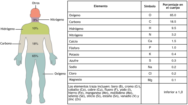 File:201 Elements of the Human Body-01-es.png