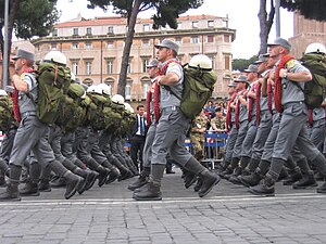 Guardia Di Finanza: Storia, Struttura organizzativa, Competenze e funzioni