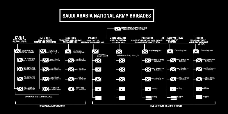 8 SANG Brigades.jpg