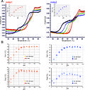 Thumbnail for Nano differential scanning fluorimetry