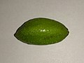 A green fruit