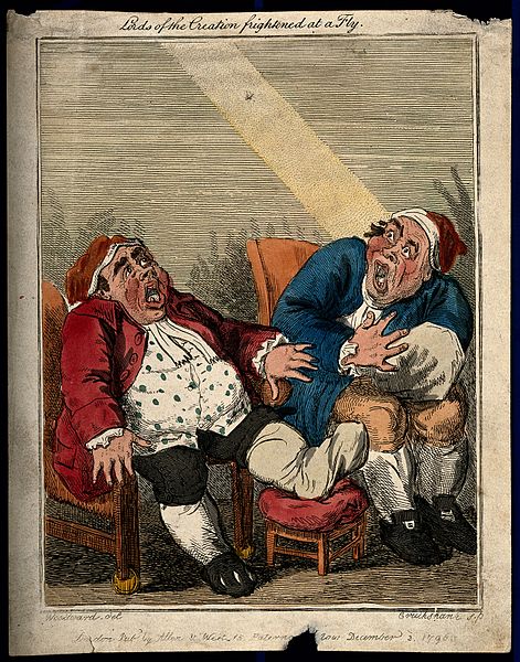 File:A pair of obese gouty men in night-caps gaping at a fly in f Wellcome V0010866.jpg