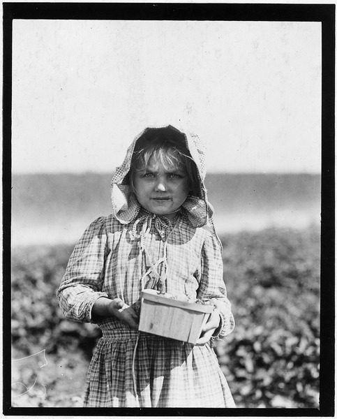 File:Alberta Mc Nadd on Chester Truitt's Farm. Alberta is 5 years old and has been picking berries since she was 3. Her... - NARA - 523320.tif
