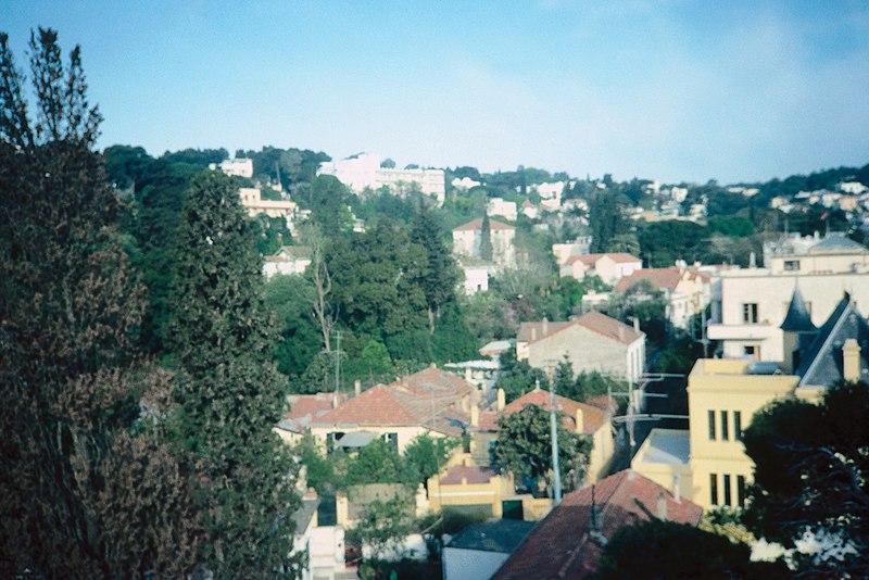 File:Algiers - Embassy Mission Residence - 1983 - DPLA - d3e73c22260e31f27d0626228a209b96.jpg