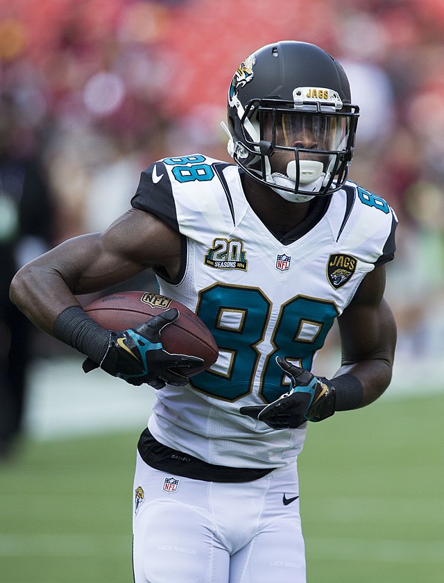 2016 NFL Pro Bowl: Allen Robinson finishes as leading receiver - Big Cat  Country