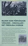 Bilden som förvånade världen - kravaller i det fredliga Sverige