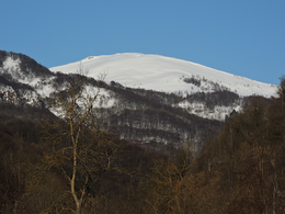 Alpe di rittana du fond de la vallée.png