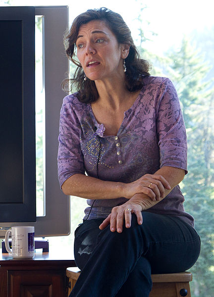 File:Amy Jo Kim - Big Door Mountain Retreat (2010) - cropped.jpg