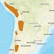 AndeanCat distribution.jpg