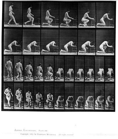 File:Animal locomotion. Plate 253 (Boston Public Library 