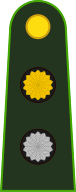 File:Argentina-Army-OF-1a.svg