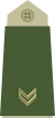 Army-NOR-OR-04.svg