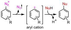 Aromatyczna substytucja nukleofilowa z wytworzeniem formy kationowej