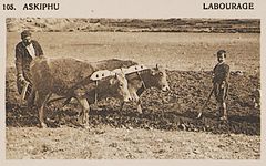 Askiphu Labourage - Baud-bovy Daniel Boissonnas Frédéric - 1919.jpg