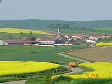 File:Athienville_colza.JPG