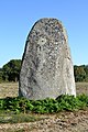 Menhirs of the Stone Field