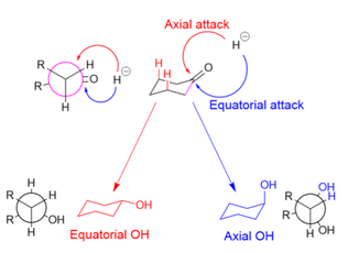 Axial vs equatorial.png