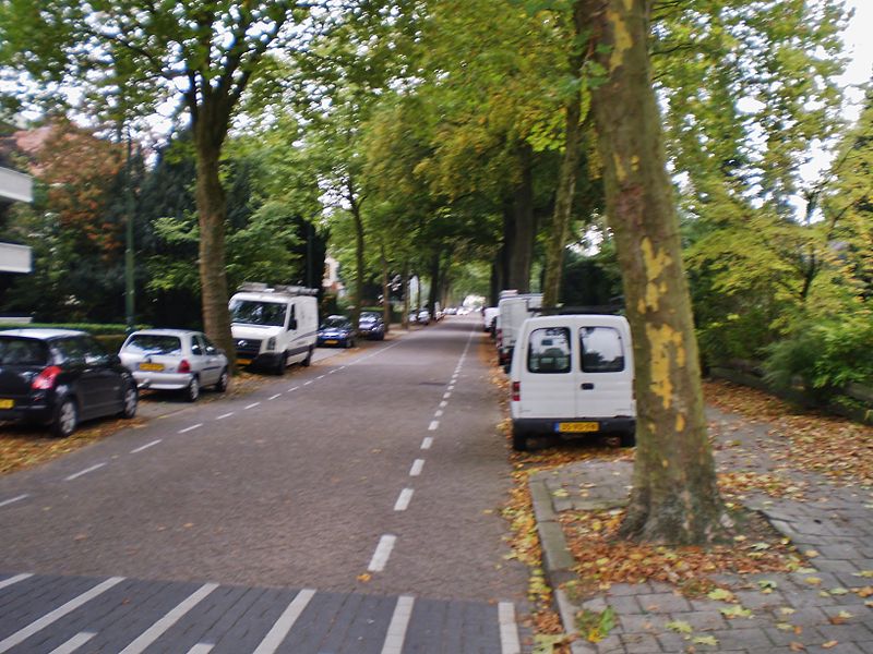 File:Baarn Prins Hendriklaan 2013 97.JPG