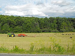 Westminster, Vermont Baling hay in Vermont.jpg