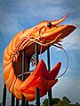 wikimedia_commons=File:Ballina_BigPrawn3.jpg