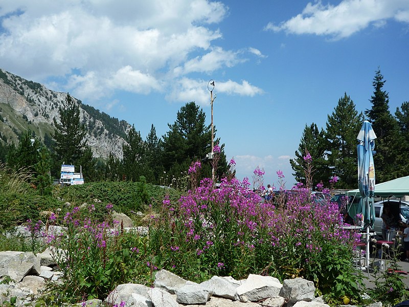 File:Bansko, Bulgaria - panoramio (47).jpg