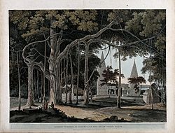 वट वृक्ष एवं हिंदू मंदिर, थॉमस डैनियल का चित्रण
