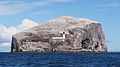 * Nomination Bass Rock, East Lothian, Scotland - covered with thousands of gannets. --Baresi franco 20:46, 8 January 2015 (UTC) Looks very nice in normal view, but there appears to be a lot of noise reduction or so. Can you reduce it? --DXR 22:04, 8 January 2015 (UTC) You're absolutely right, it did look a bit odd at 100%. I think it was actually caused by sharpening, rather than NR - see what you think now. --Baresi franco 21:35, 9 January 2015 (UTC) * Promotion Yes, better. Great view! --DXR 22:45, 9 January 2015 (UTC)