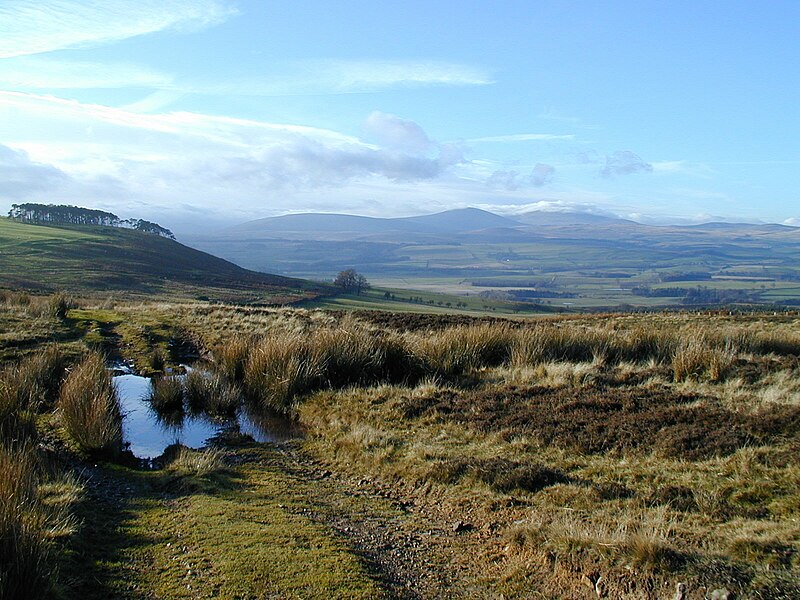 Lêer:Bewick Moor.jpg