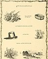 Bible symbols; designed and arranged to stimulate a greater interest in the study of the Bible by both young and old (1908) (14590721100).jpg